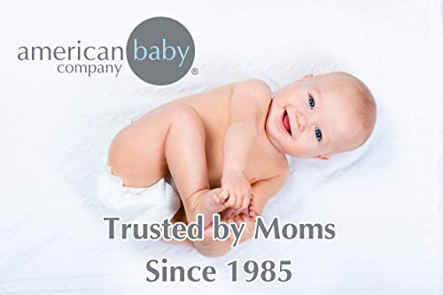 Product: American Baby Company Heavenly Soft Minky Dot Chenille Toddler Bedding Set, Gray, 4 Piece, for Boys and Girls
