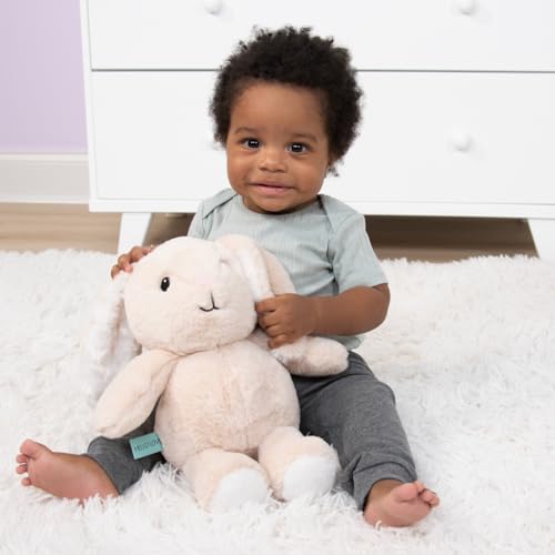 Product: The Peanutshell 4 Piece Baby Crib Bedding Set for Girls - Newborn, Infant & Toddler Nursery Bed Set with Fitted Crib Sheet, Dust Ruffle Comforter, Plush Bunny Rabbit - Butterfly Nursery Decor